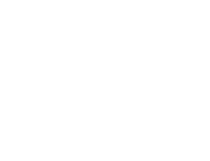 Brasa King